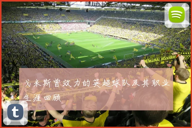 戈米斯曾效力的英超球队及其职业生涯回顾