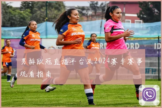 男排欧冠直播平台及2024赛季赛事观看指南