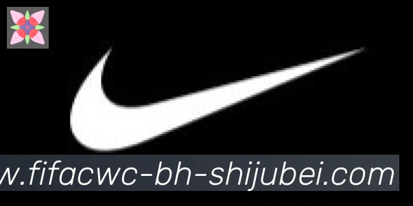 世界杯直播合作伙伴