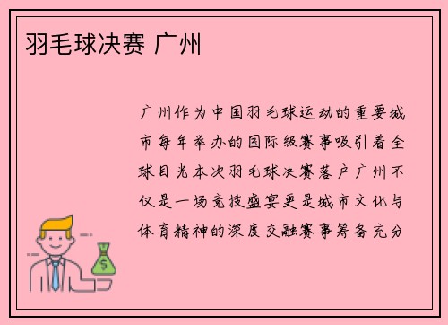羽毛球决赛 广州