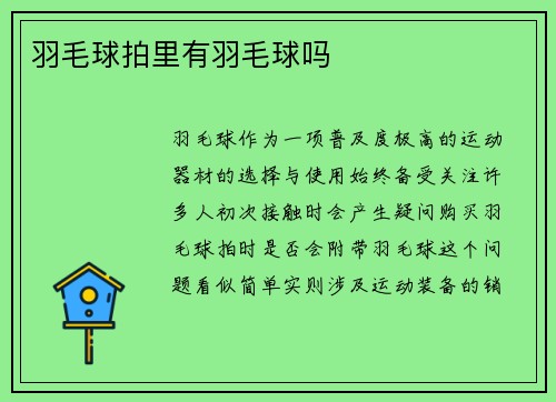 羽毛球拍里有羽毛球吗