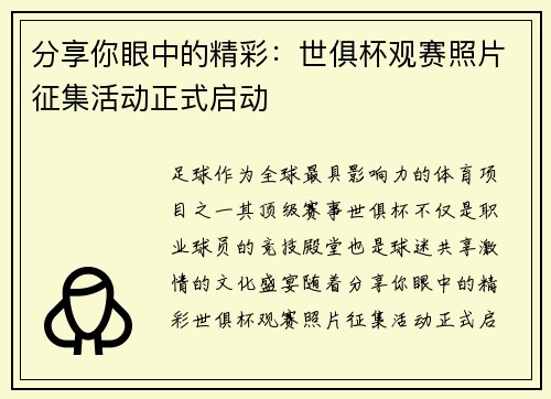 分享你眼中的精彩：世俱杯观赛照片征集活动正式启动