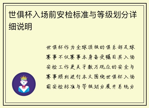 世俱杯入场前安检标准与等级划分详细说明